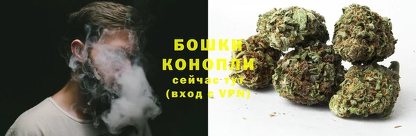 прущая мука Каменка